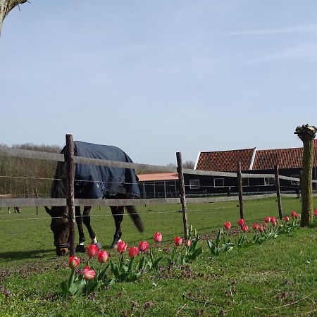Bed and Breakfast De Tulp Noordgouwe Экстерьер фото