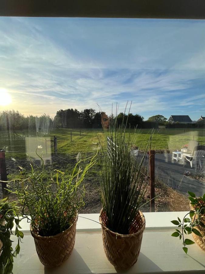 Bed and Breakfast De Tulp Noordgouwe Экстерьер фото