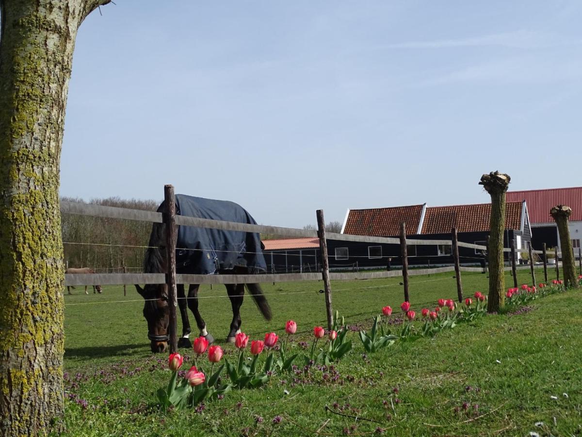 Bed and Breakfast De Tulp Noordgouwe Экстерьер фото